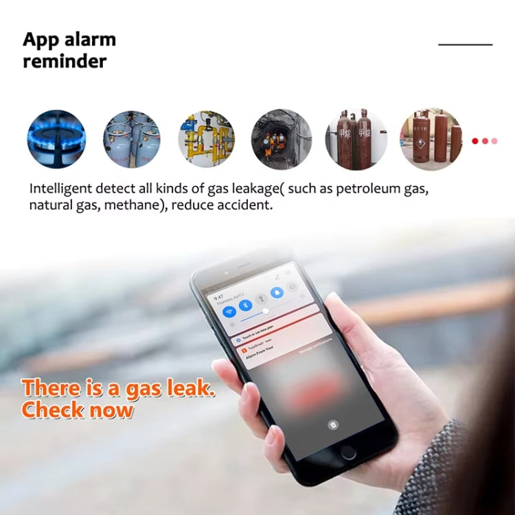 Tuya WiFi Gas Leak Detector With Temperature Clock Function Support Human Voice Alarm, GS21 Tuya WiFi Gas Leak Detector With Temperature Clock Function Support Human Voice Alarm, GS21